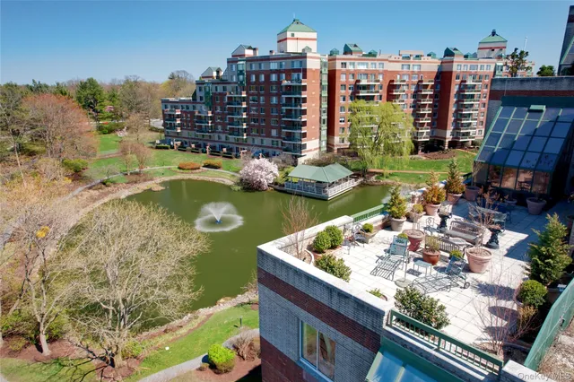 a view of a patio with dining table and chairs with potted plants and big yard