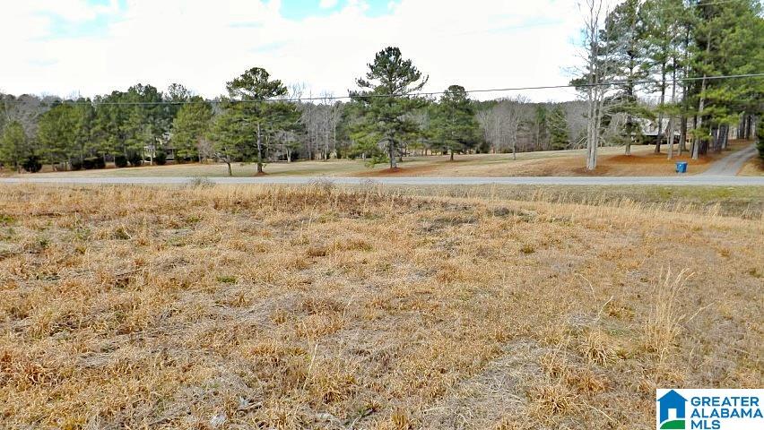0 Highway 231, Unit 1 5 Oneonta, AL 35121 - Photo 9 of 23