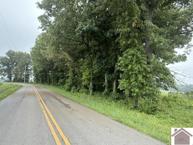 0 Taylors Store Road Hazel, KY 42049 - Photo 5 of 5 Photo 5