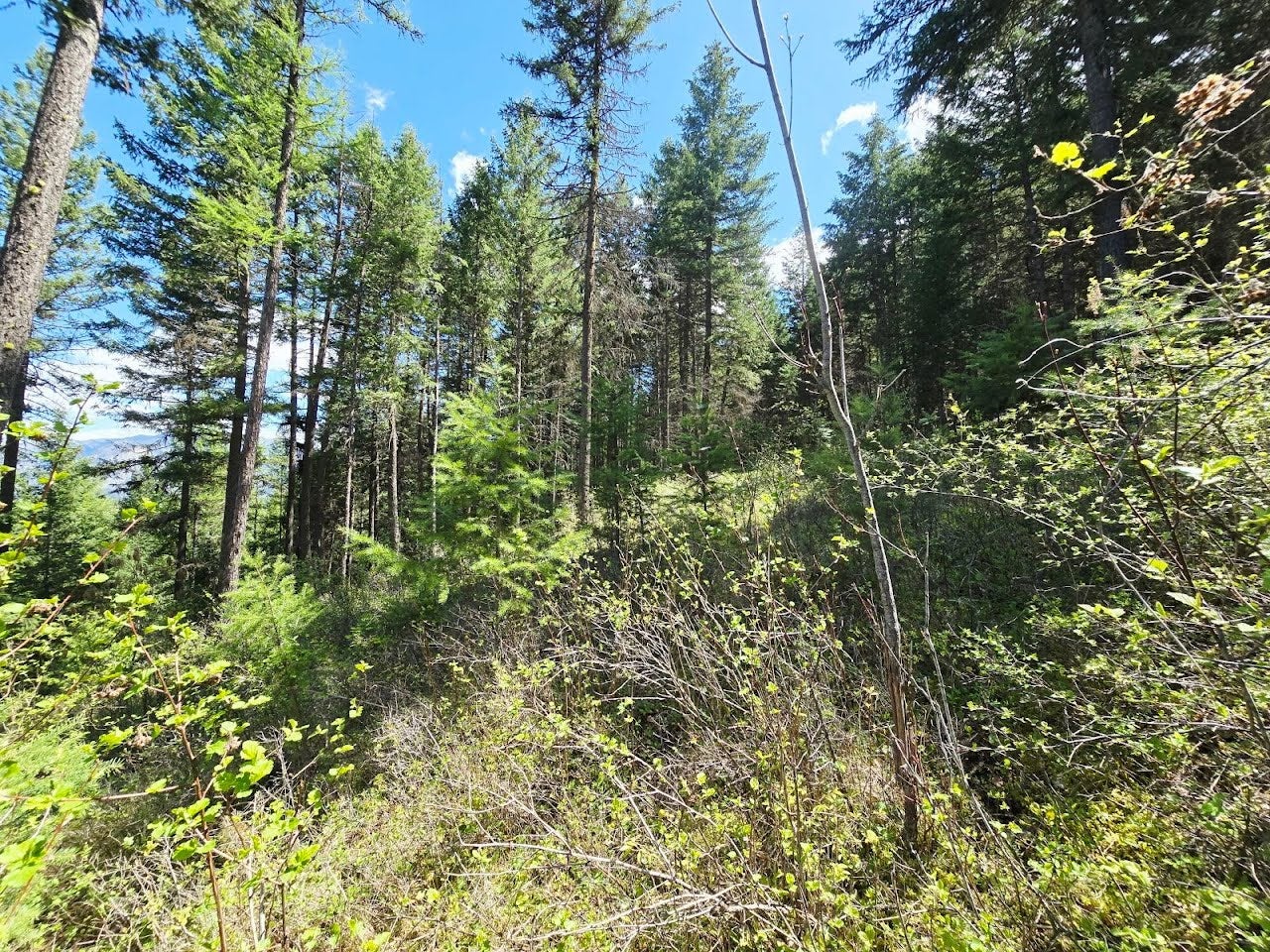 93 Wapiti Point Road Thompson Falls, MT 59873 - Photo 19 of 20 Gallery Image 19