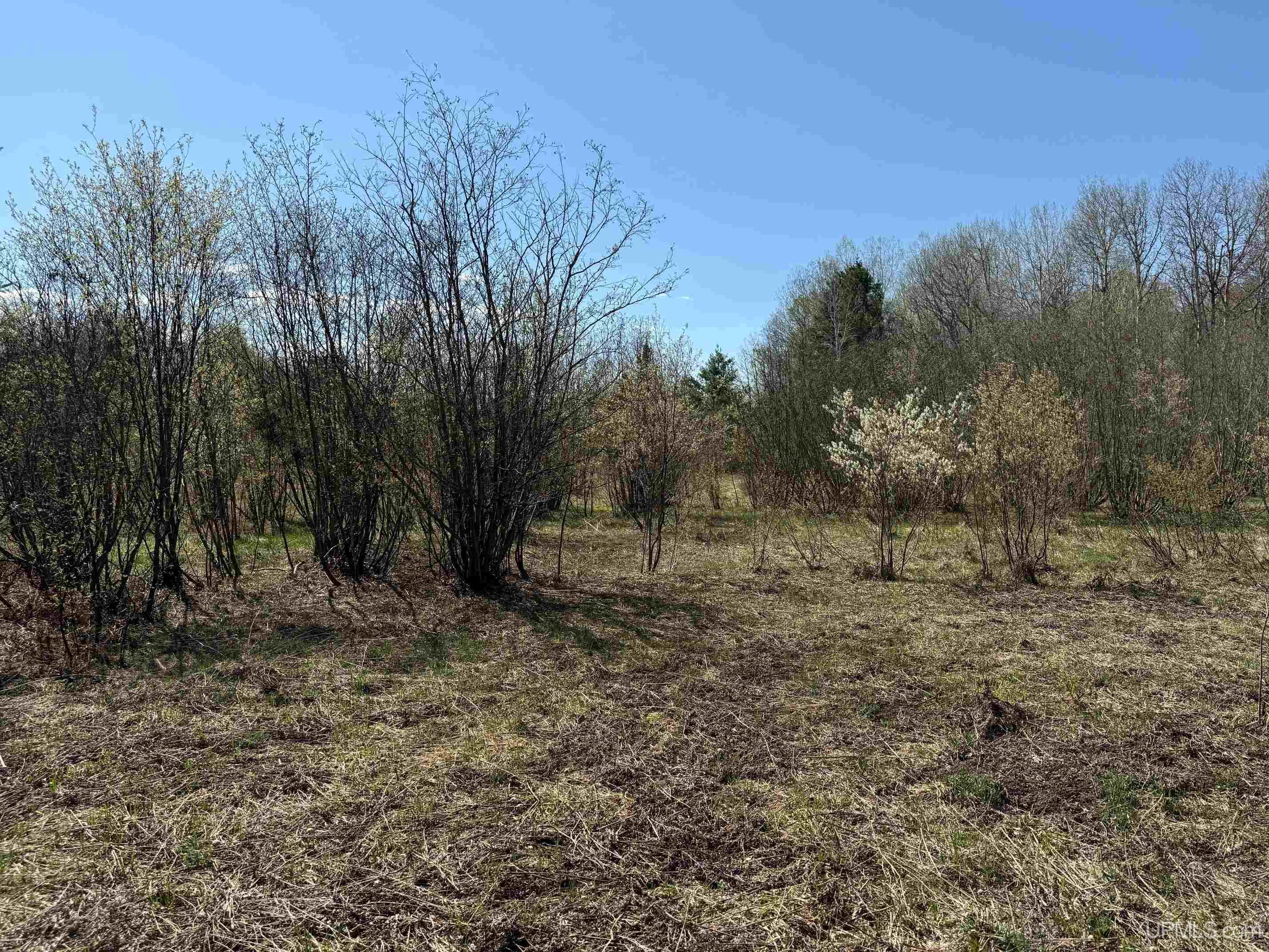Tbd43 Tapiola Road Chassell, MI 49916 - Photo 8 of 14 Gallery Image 8