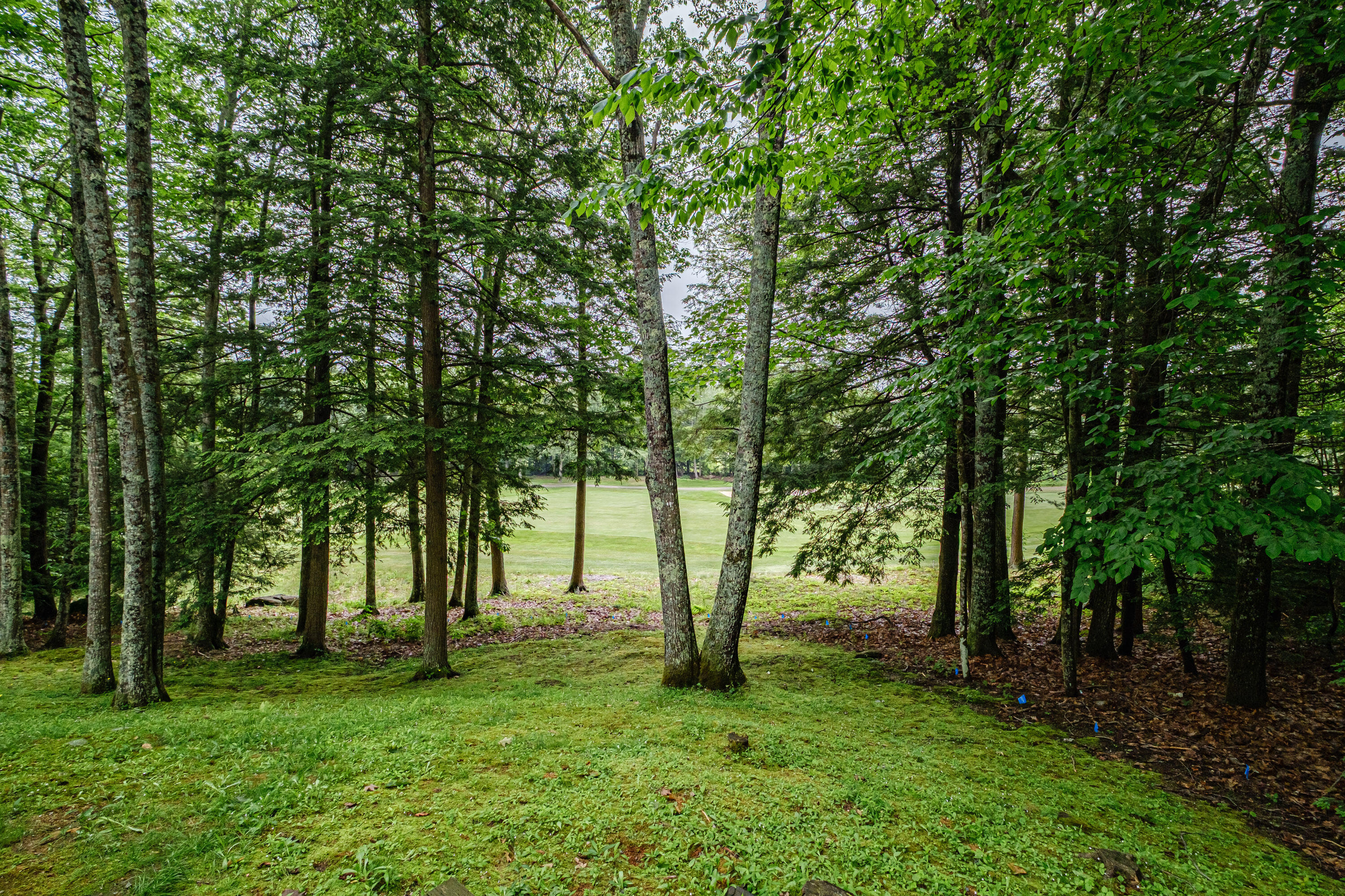 15 Inverness Road Falmouth, ME 04105 - Photo 68 of 83 20250619gp-61091