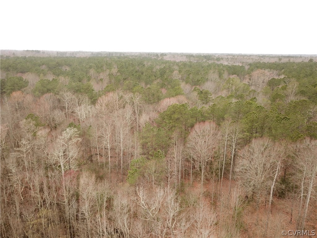 0 Spratley Mill Road Dendron, VA 23839 - Photo 8 of 11 Gallery Image 8