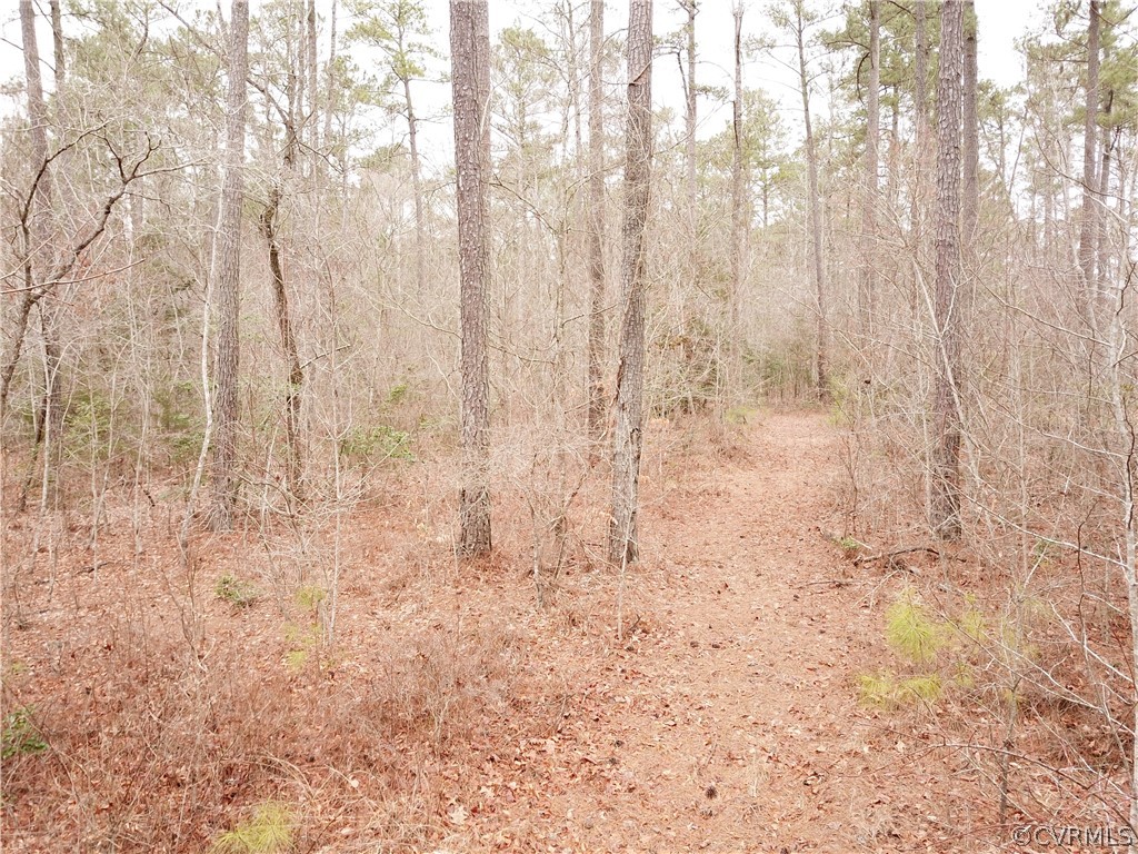 0 Spratley Mill Road Dendron, VA 23839 - Photo 10 of 11 Gallery Image 10