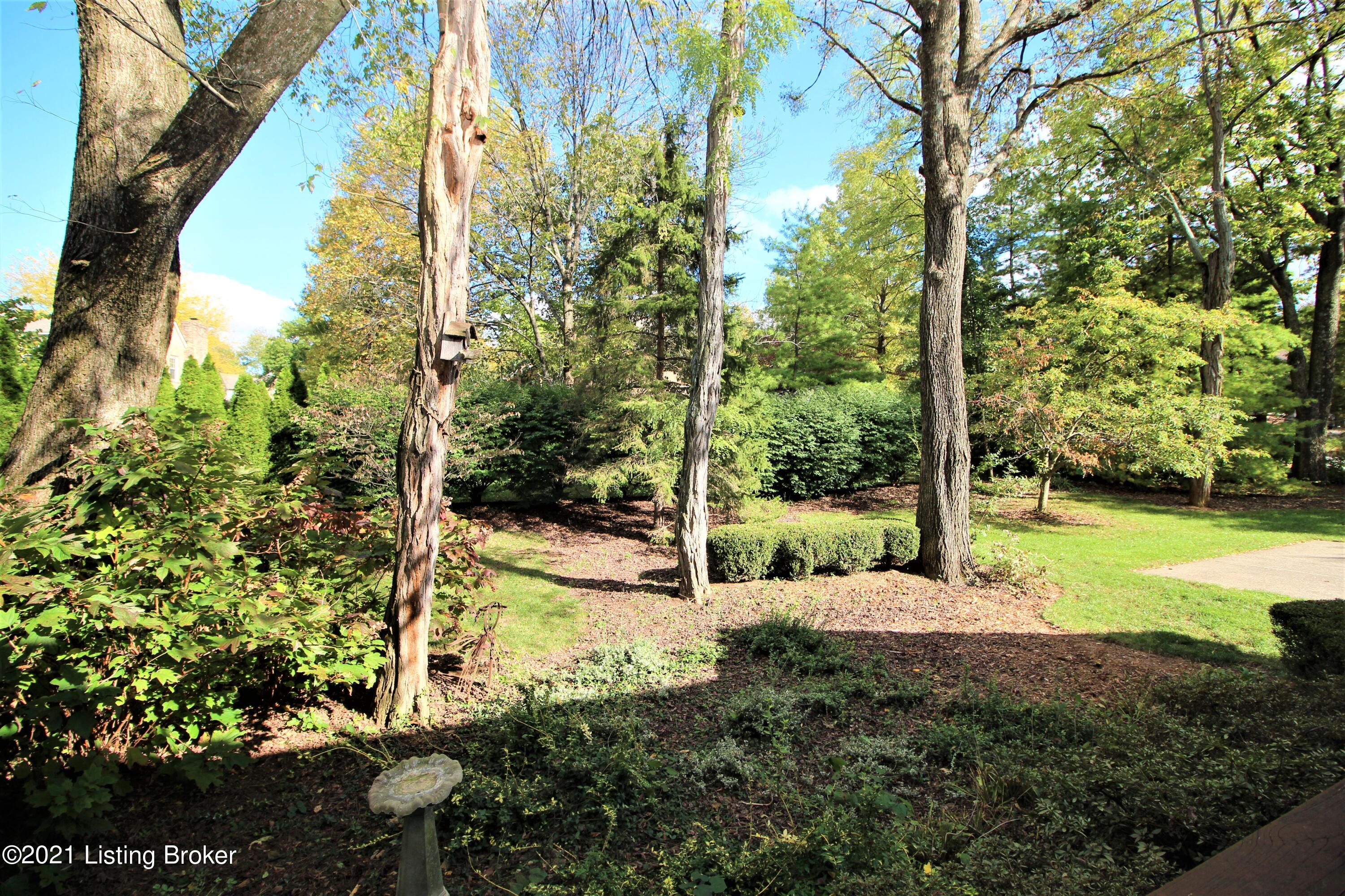 711 Foxgate Road Louisville, KY 40223 - Photo 32 of 34 Backyard