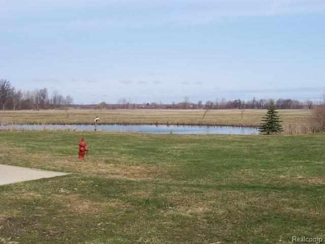 5395 Carter Road Capac, MI 48014 - Photo 18 of 18 Carter pond