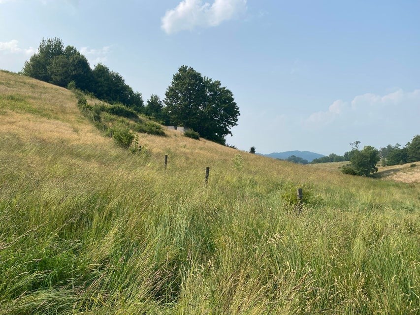 Tbd Widener Valley Road, Unit SEE REMARKS Glade Spring, VA 24340 - Photo 3 of 57 Gallery Image 3