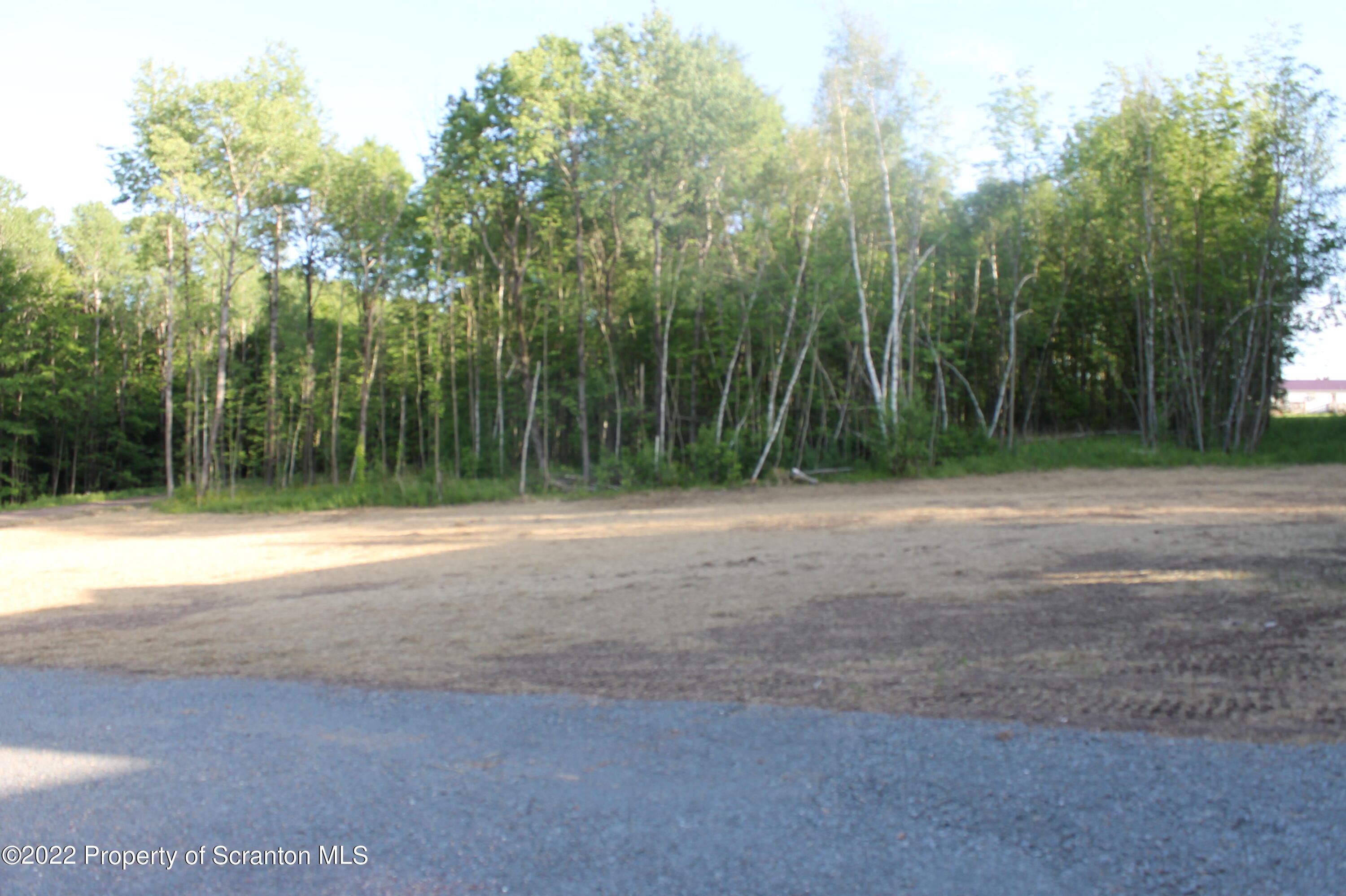 311 Jubinsky Road Waymart, PA 18472 - Photo 74 of 89 a view of a field with trees in background