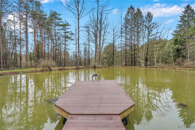 $265,000 | 3608 Ford Miles Road, Hinsdale, NY 14727