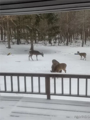 $265,000 | 3608 Ford Miles Road, Hinsdale, NY 14727