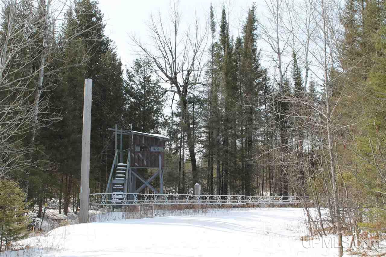 3315 Co Road Cornell, MI 49818 - Photo 48 of 50
