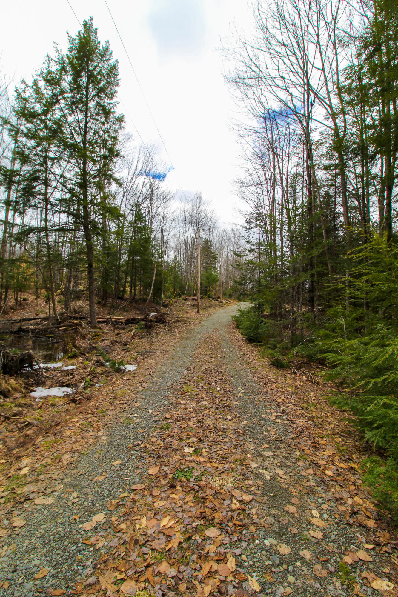 Lot 18 Pullyard Road Sangerville, ME 04479 - Photo 7 of 24 Looking Southwest