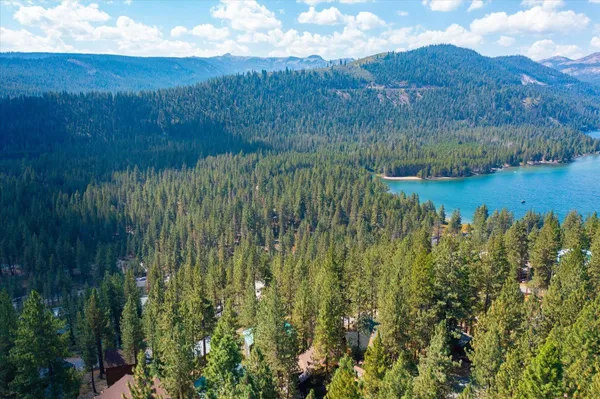 a view of a forest with a mountain