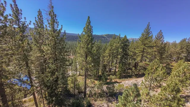 a view of a city with lush green forest