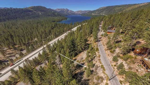 a close up of a plant