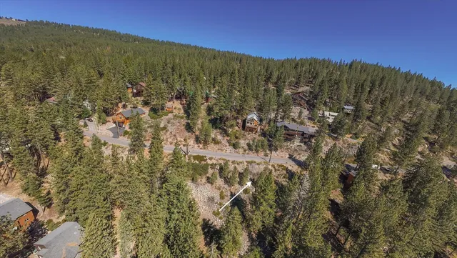 a view of a yard with trees