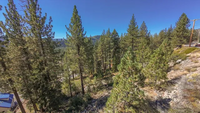 a view of a city with lush green forest