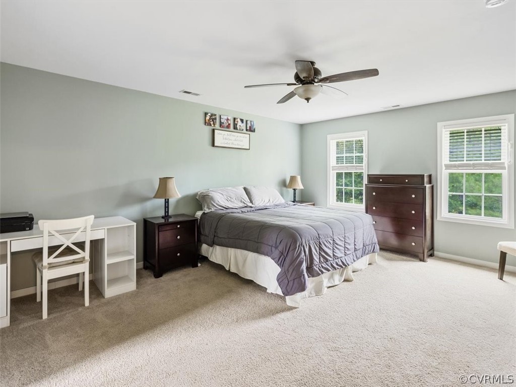 3987 Lost Mill Road Powhatan, VA 23139 - Photo 18 of 43 Gallery Image 18