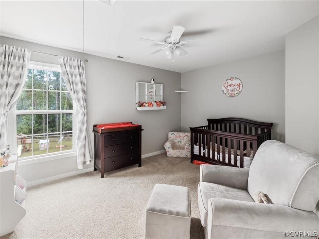 3987 Lost Mill Road Powhatan, VA 23139 - Photo 23 of 43 Gallery Image 23