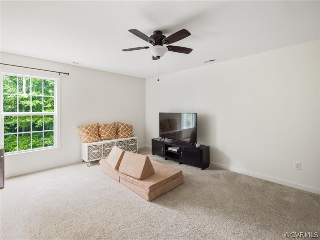 3987 Lost Mill Road Powhatan, VA 23139 - Photo 24 of 43 Gallery Image 24
