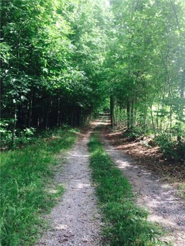 211 Hanna Road Prospect, TN 38477 - Photo 2 of 6 Enjoy your drive down this tree-lined private drive and appreciate the wildlife you might spot!