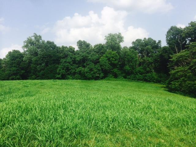 211 Hanna Road Prospect, TN 38477 - Photo 3 of 6