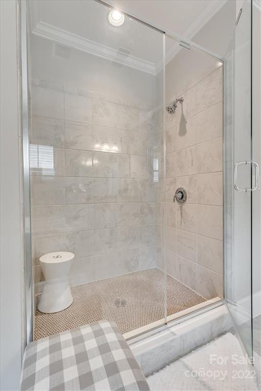 1489 Afton Way Fort Mill, SC 29708 - Photo 28 of 48 a bathroom with a shower and a toilet