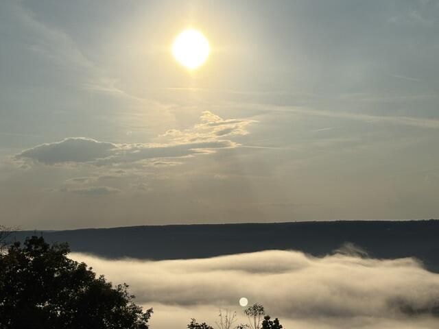 863 Porch Rock Road Pikeville, TN 37367 - Photo 23 of 62 IMG_1680