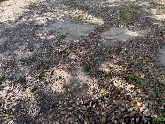 152 County Road 2131 Rusk, TX 75785 - Photo 15 of 28