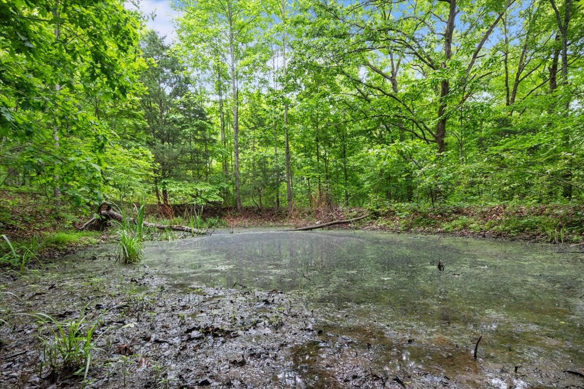 5610 Hargrove Road Franklin, TN 37064 - Photo 19 of 29