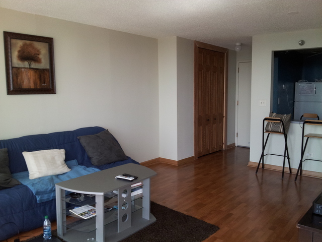 111 West Maple Street, Unit 2511 Chicago, IL 60610 - Photo 2 of 8