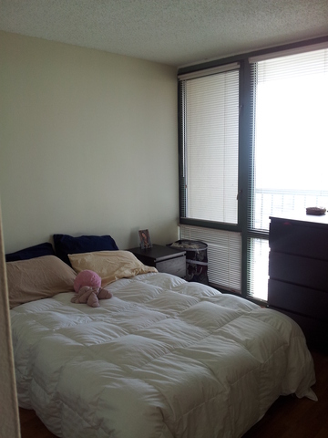 111 West Maple Street, Unit 2511 Chicago, IL 60610 - Photo 4 of 8