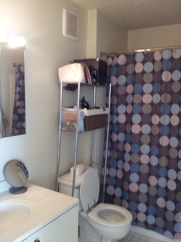 111 West Maple Street, Unit 2511 Chicago, IL 60610 - Photo 6 of 8