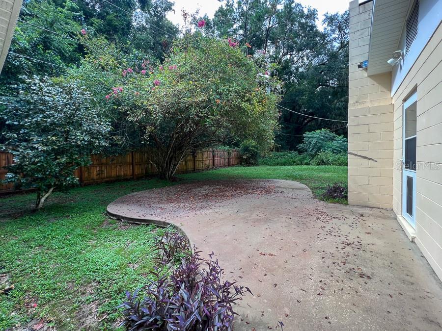 3920 Southwest 21st Street Gainesville, FL 32608 - Photo 36 of 40 a view of a backyard with large trees