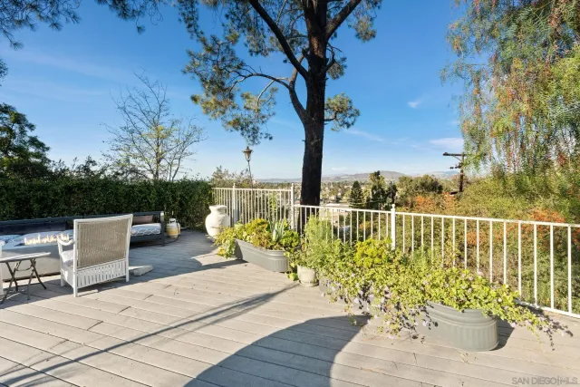 a view of a yard with plants and large trees