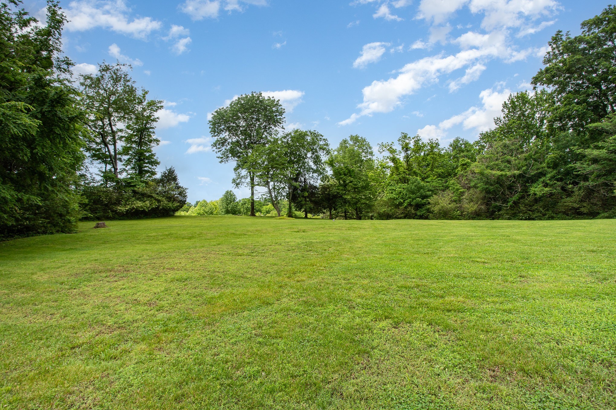884 Pinnacle Hill Road Kingston Springs, TN 37082 - Photo 46 of 55 a view of a field with an trees