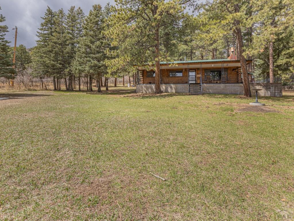 8227 William Drive Rye, CO 81069 - Photo 13 of 30 Gallery Image 13