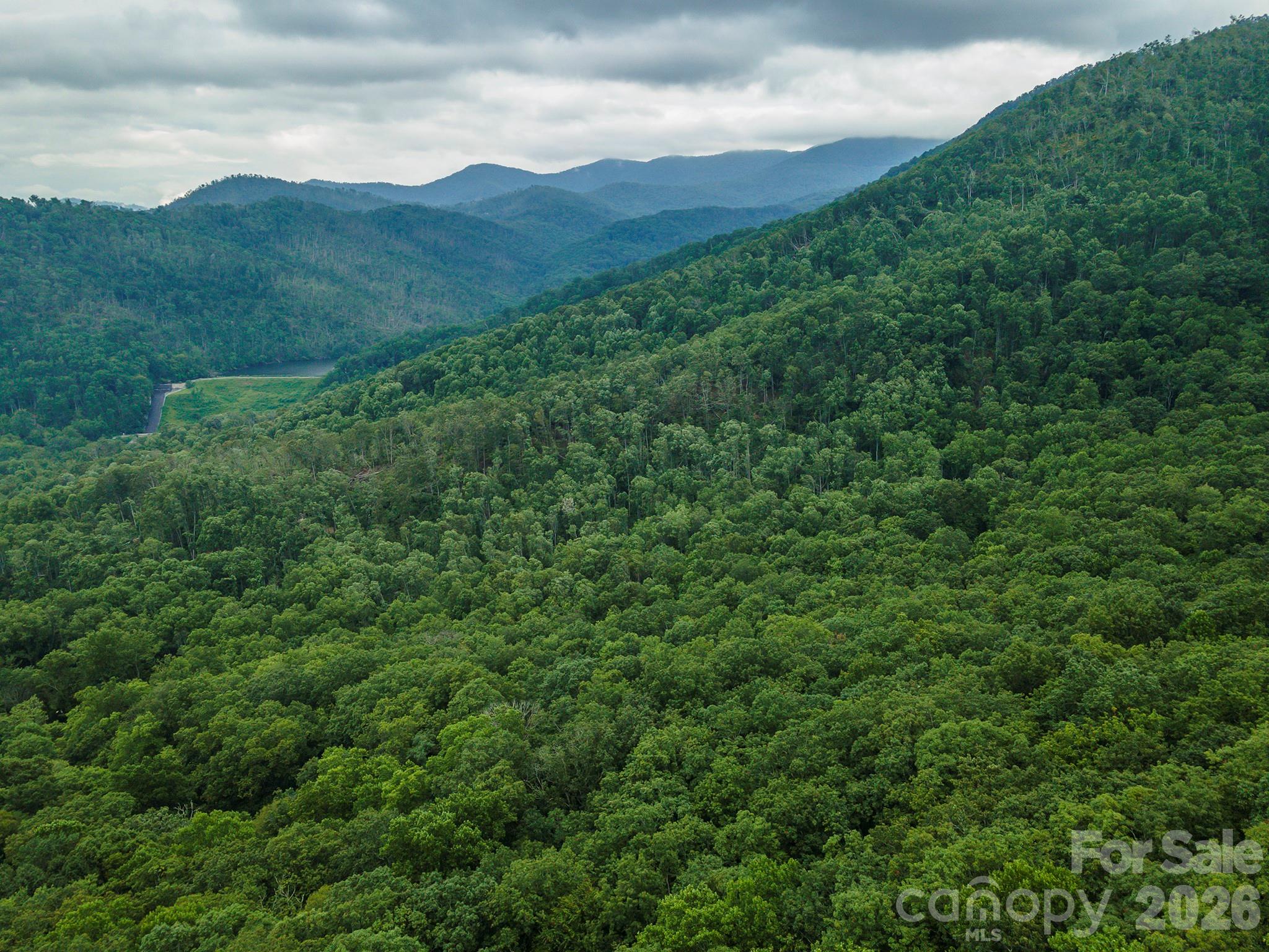 Tbd Summer Haven Road, Unit 16 Swannanoa, NC 28778 - Photo 2 of 45