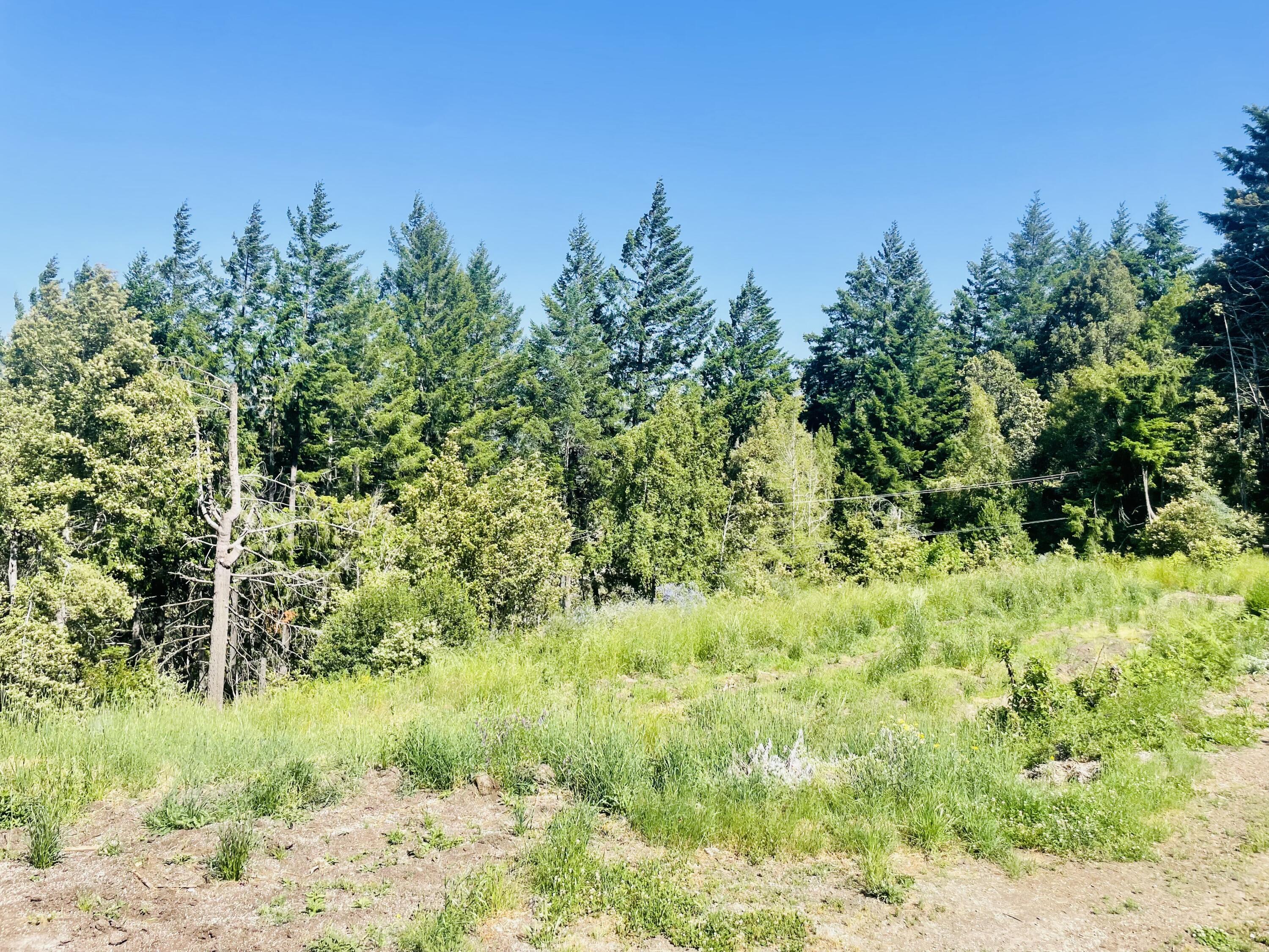 360 Graycliff Road Garberville, CA 95542 - Photo 49 of 63