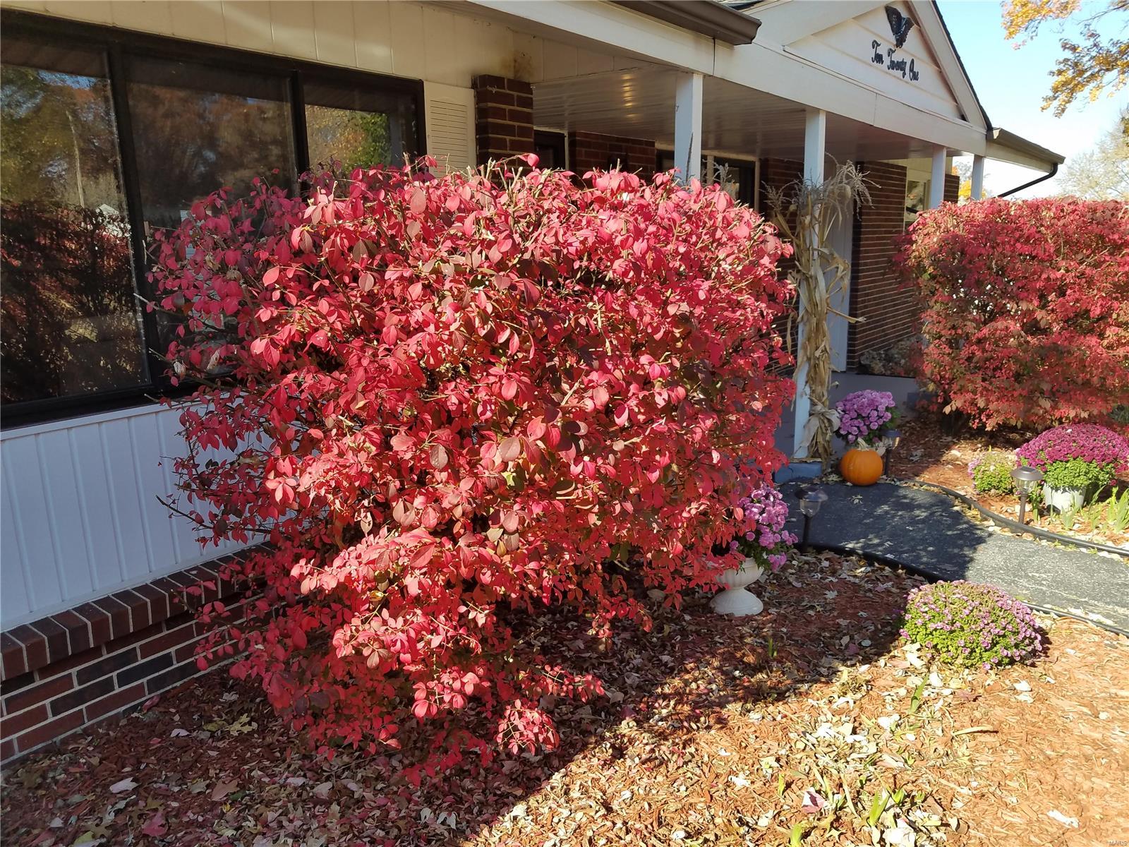 1021 Schulte Road St. Louis, MO 63146 - Photo 43 of 43 Gallery Image 43