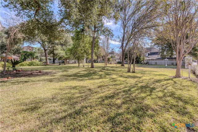a view of a yard in front of a house with a large tree