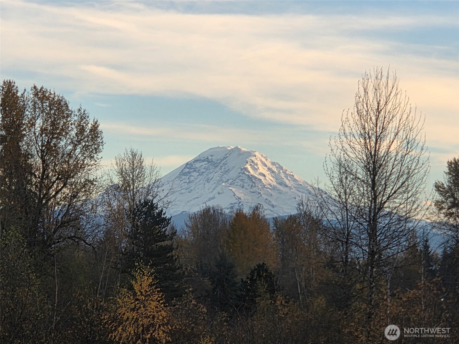 12535 Southeast Kent-Kangley Road Kent, WA 98030 - Photo 5 of 11 a view of a lake in middle of forest