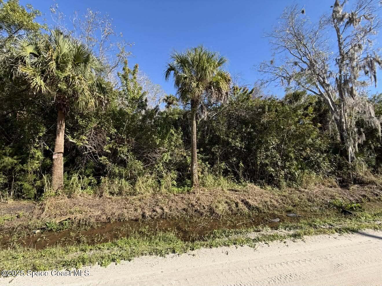 0 Hammock Road Mims, FL 32754 - Photo 10 of 35 597195928_748579514282007_24033662140904
