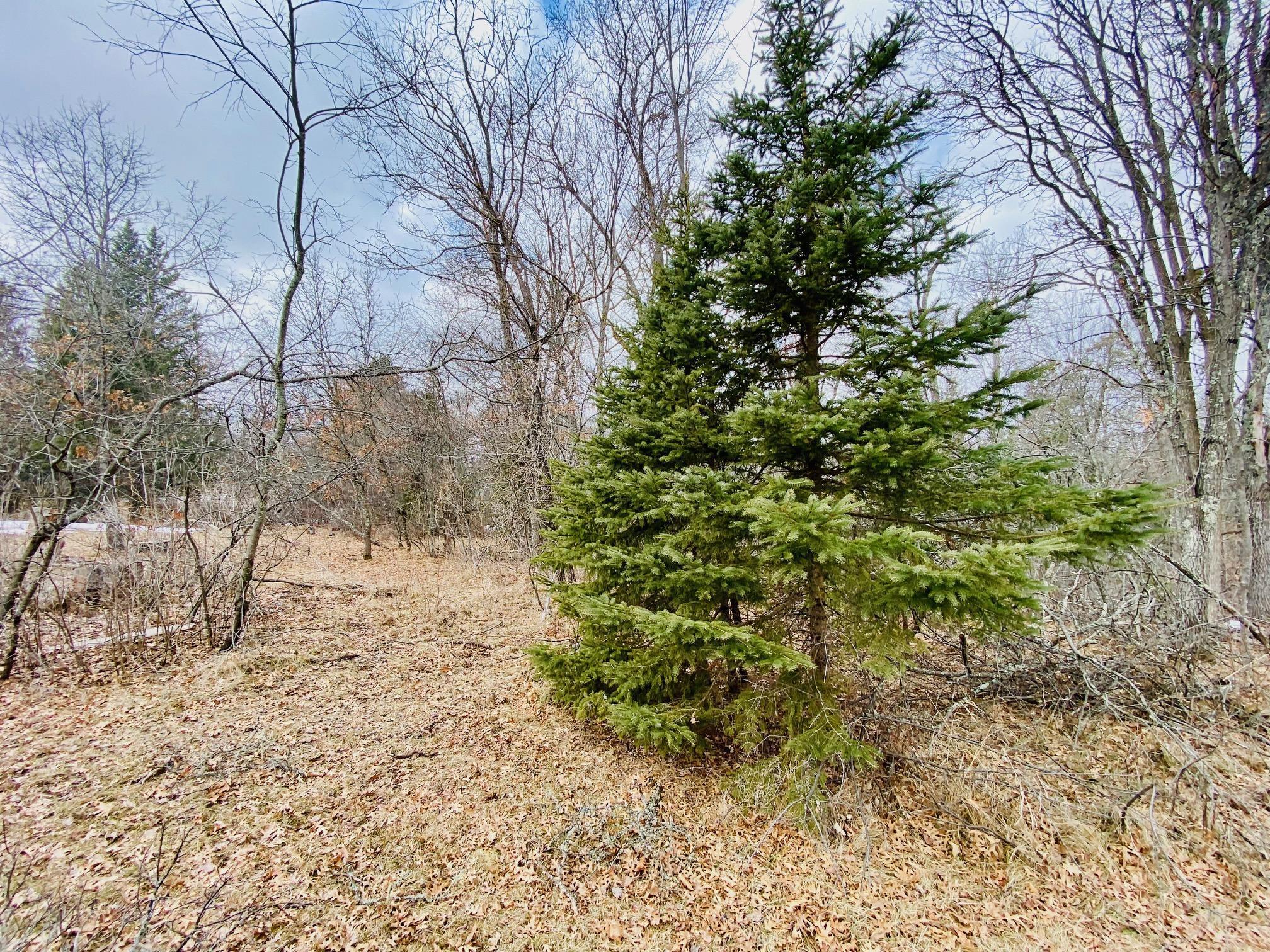 9397 County Rd T Minong, WI 54859 - Photo 28 of 28