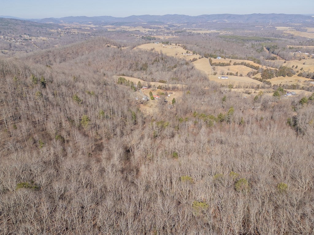 2161 Loafers Rest Road Austinville, VA 24312 - Photo 90 of 96 Gallery Image 90