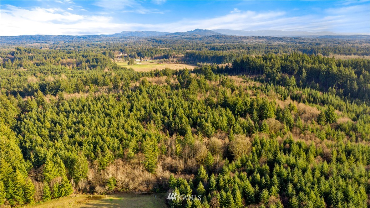 13841 Reeder Road Southwest Tenino, WA 98589 - Photo 4 of 9 view of city and mountain