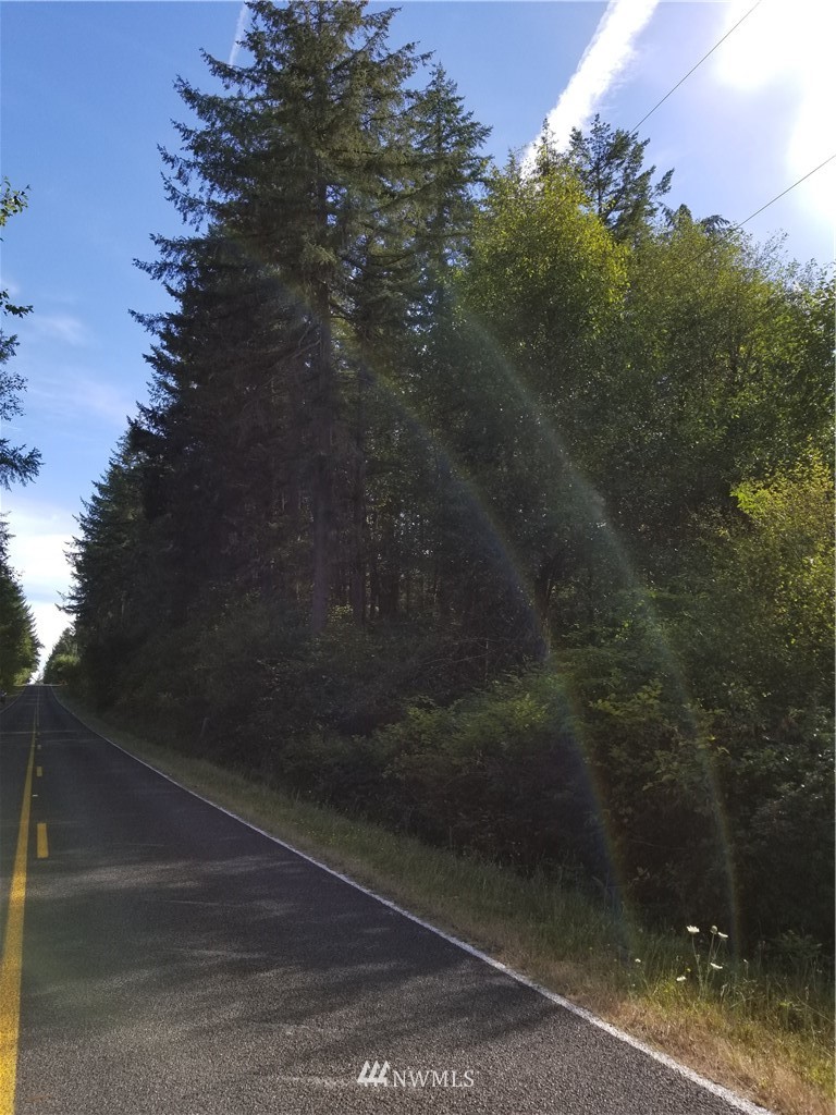 13841 Reeder Road Southwest Tenino, WA 98589 - Photo 8 of 9 a view of a yard