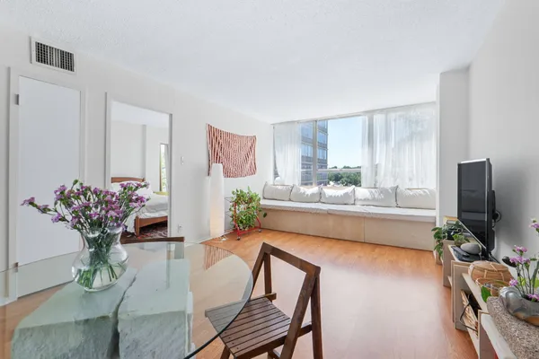 a living room with furniture potted plant and a flat screen tv