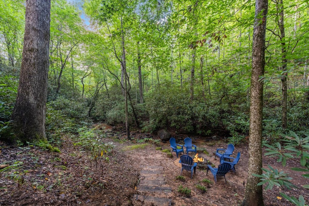 126 Brookwood Drive Blue Ridge, GA 30513 - Photo 19 of 84 a view of a bench in a forest