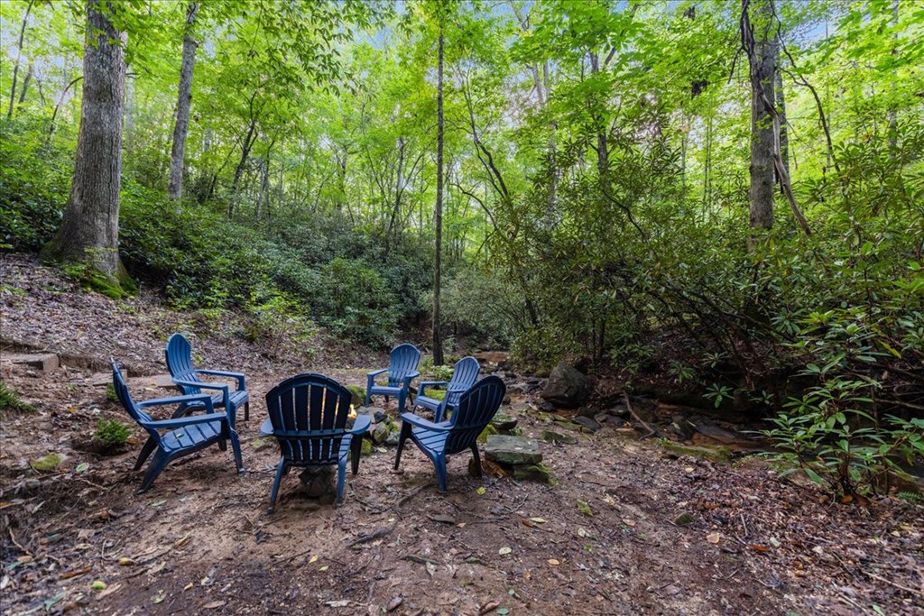 126 Brookwood Drive Blue Ridge, GA 30513 - Photo 21 of 84